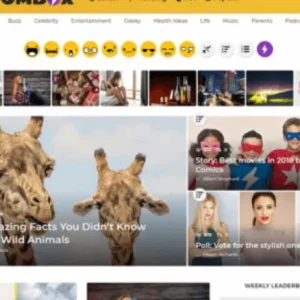 BoomBox – Viral Magazine WordPress Theme